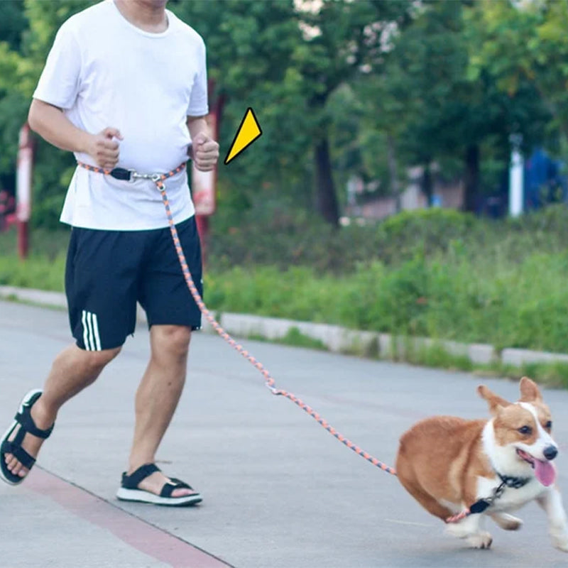 Laisses mains libres pour chien