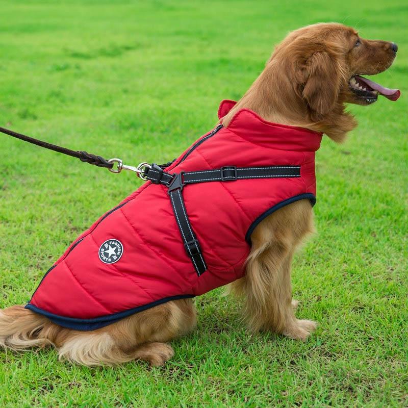 Manteau pour chien multifonctionnel chaud et imperméable