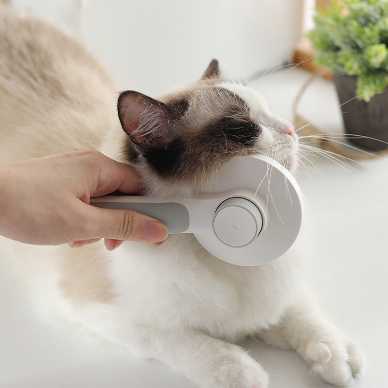 Brosse automatique pour animaux de compagnie