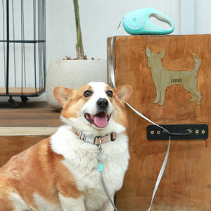 Laisse lumineuse pour chien