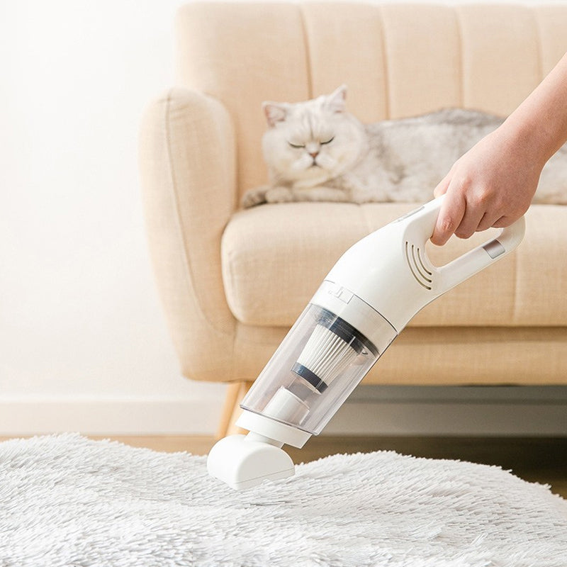 Aspirateur de Toilettage Pour Poils d'Animaux