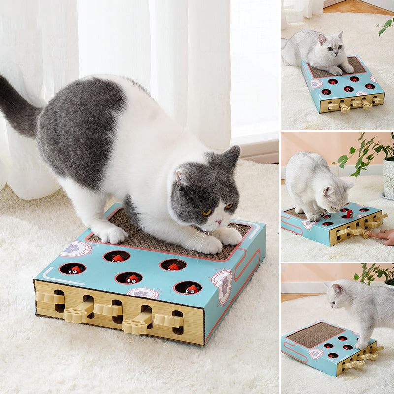 Chat Jouet Interactif