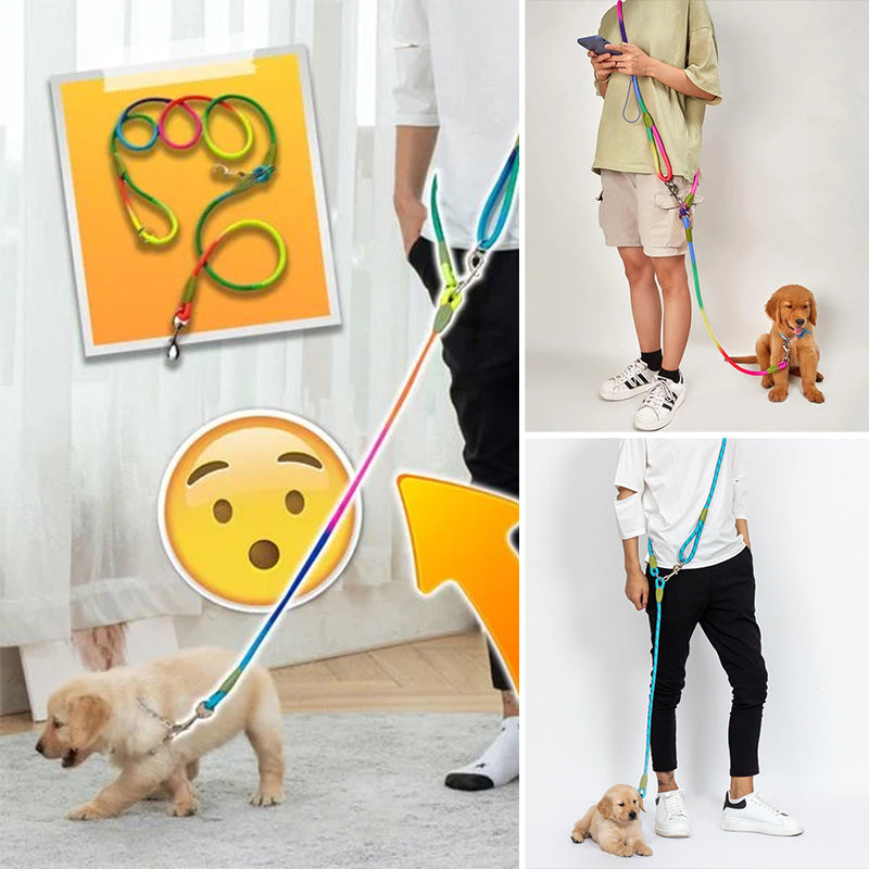 Laisses mains libres pour chien