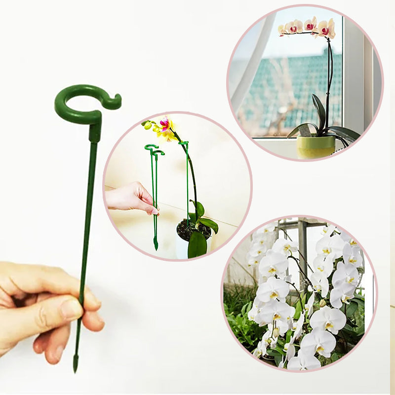 Poteau de soutien des plantes(10 pièces)