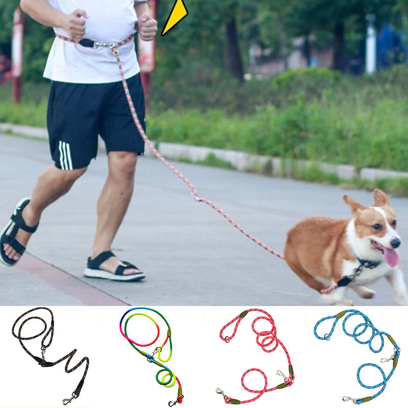 Laisses mains libres pour chien