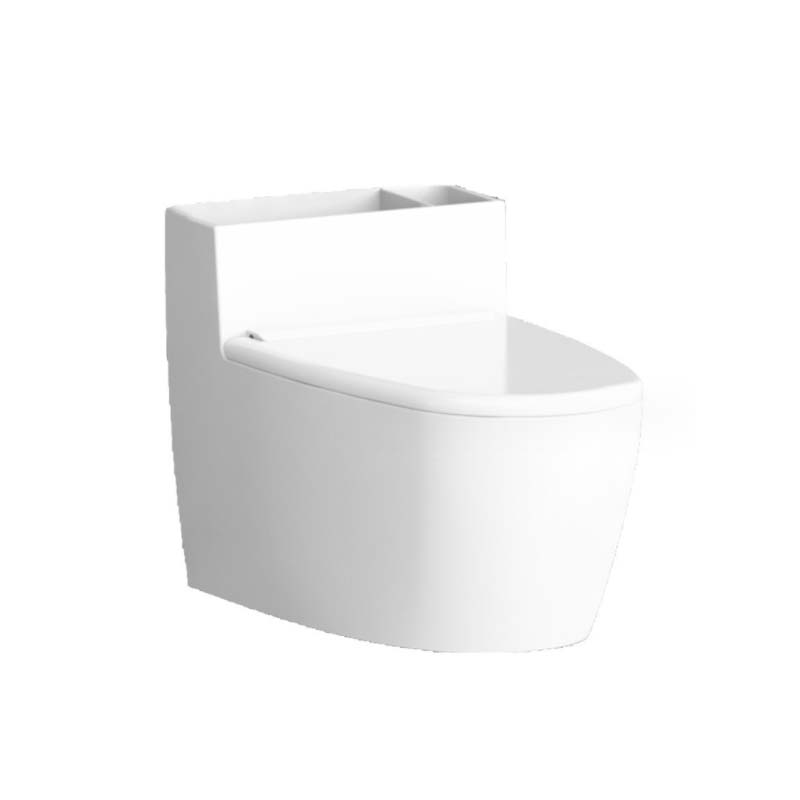 Cendrier de toilette