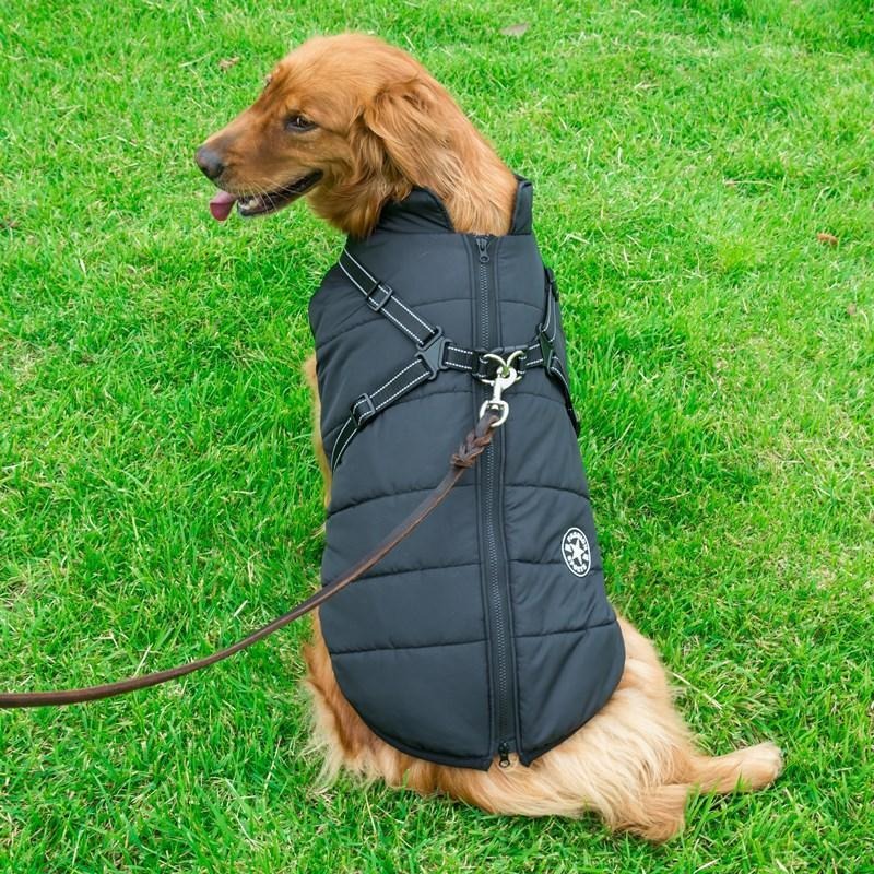 Manteau pour chien multifonctionnel chaud et imperméable