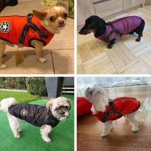 Manteau pour chien multifonctionnel chaud et imperméable