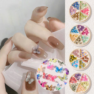 Ornements de papillon d'ongle