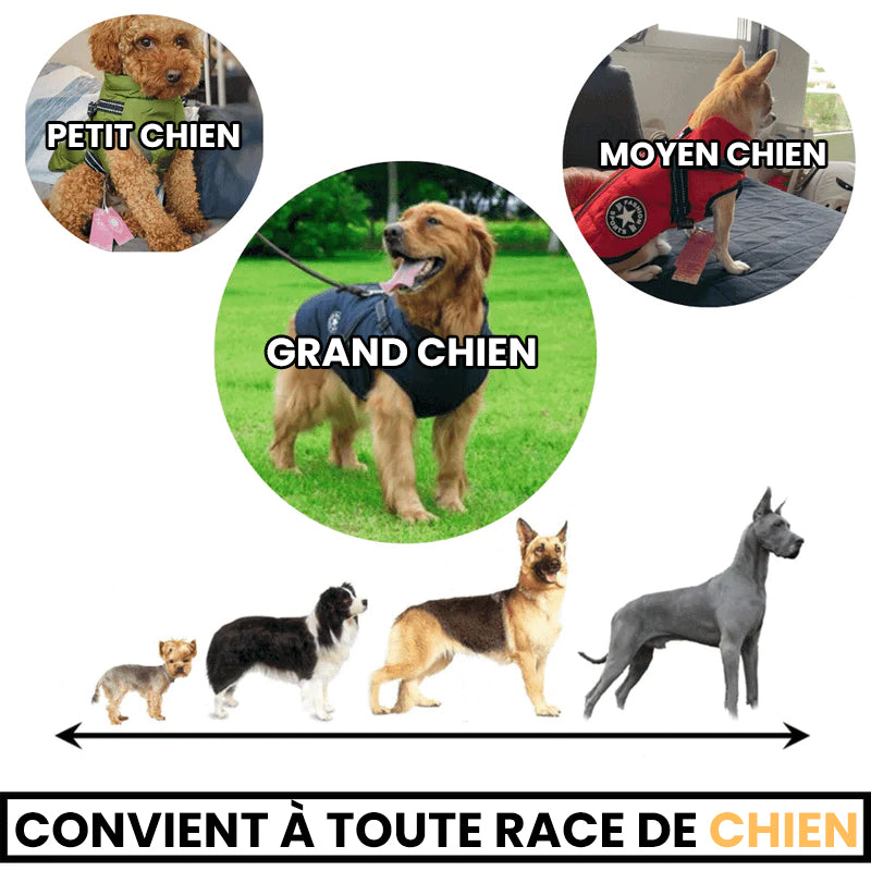 Manteau pour chien multifonctionnel chaud et imperméable